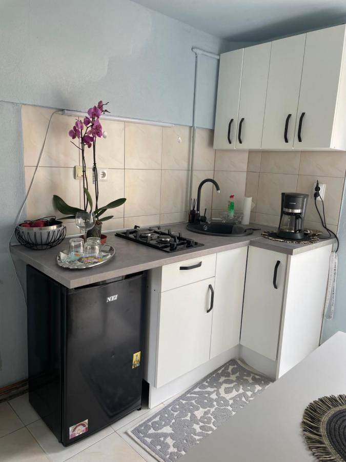 Ferienwohnung Garsoniera La Casa Timişoara Exterior foto